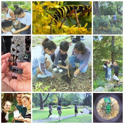 Biology Liv Camp thumbnail_IMG_3236