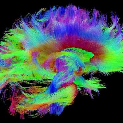 Neuroscience 4