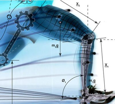 gait-analysis-2