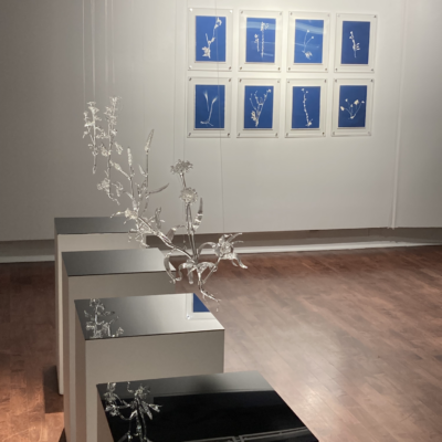 Anahita Norouzi, Other Landscapes