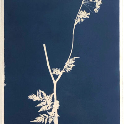 Anahita Norouzi, Other Landscapes