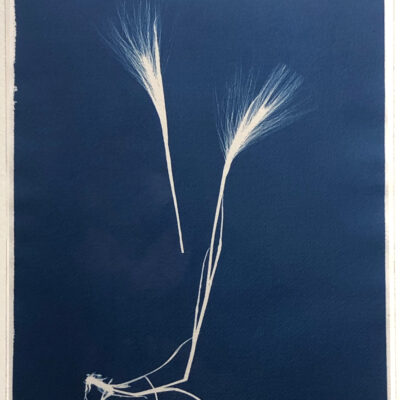 Anahita Norouzi, Other Landscapes