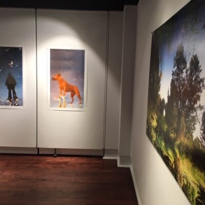 Installation detail, Unfallen