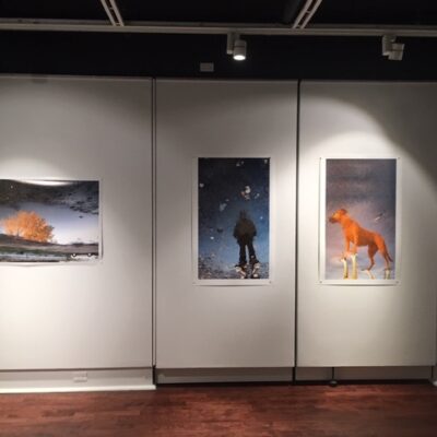Installation detail, Unfallen
