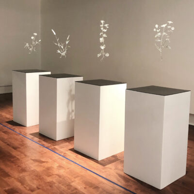 Anahita Norouzi, Other Landscapes