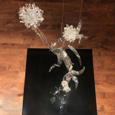 Anahita Norouzi, Other Landscapes