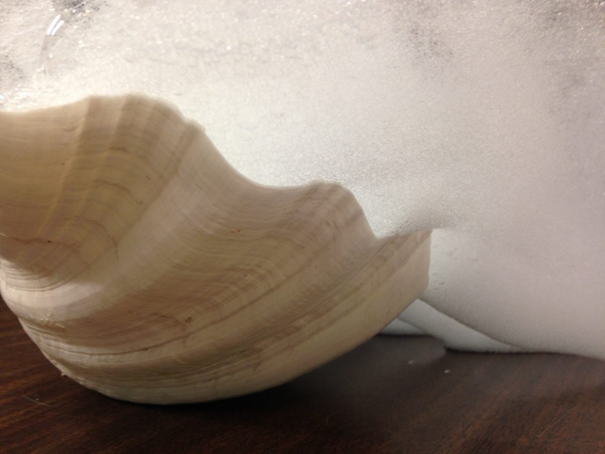 shell-bubbledetail