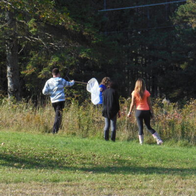 Catching insects in the Field