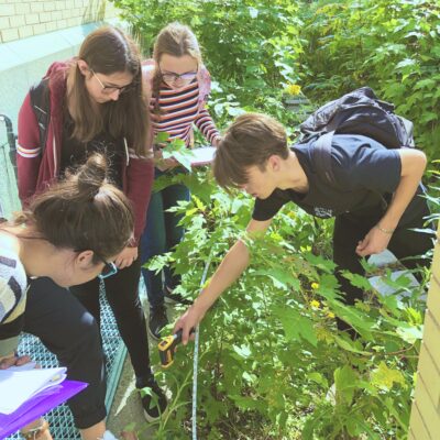 Identifying Trees on campus