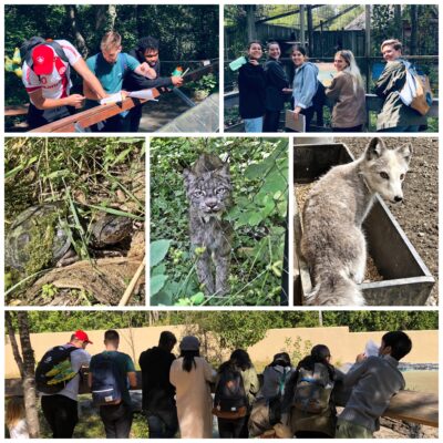 Ecomuseum Visit