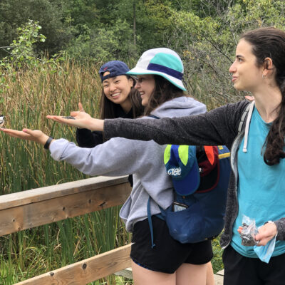 Nature Walk