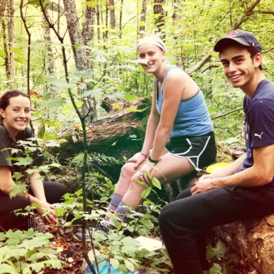 Field Sampling - Deciduous Forest