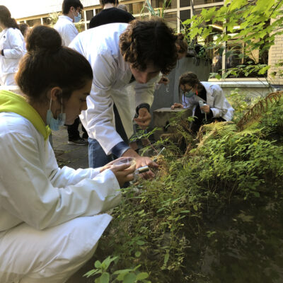 Sampling Dawson's rooftop pond