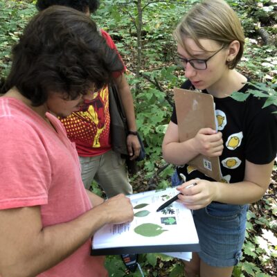 Identifying Trees