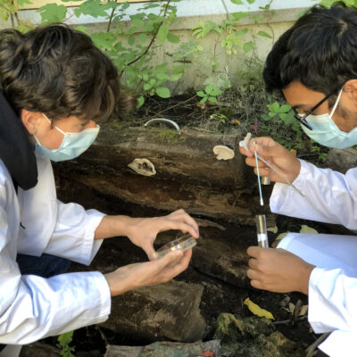 Sampling Dawson's rooftop pond
