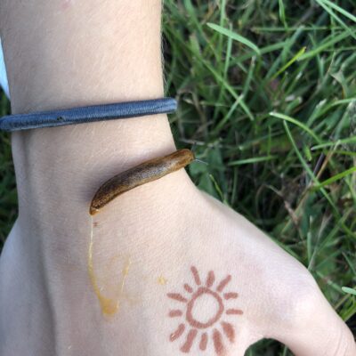 Slug