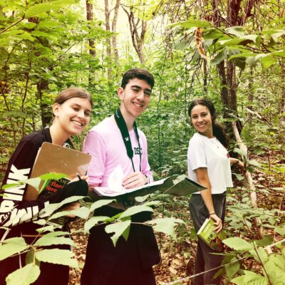 Field Sampling - Deciduous Forest