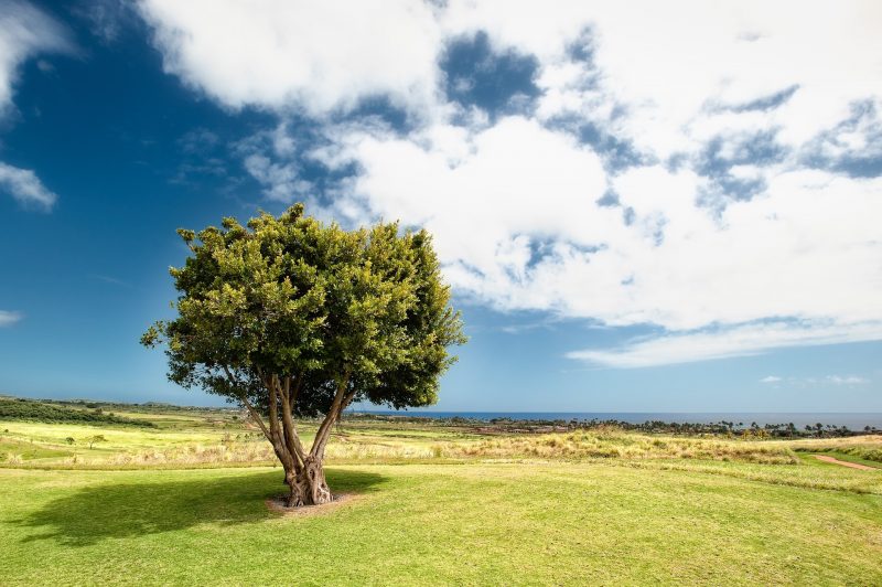 Photo by Jeff King on Unsplash_landscape