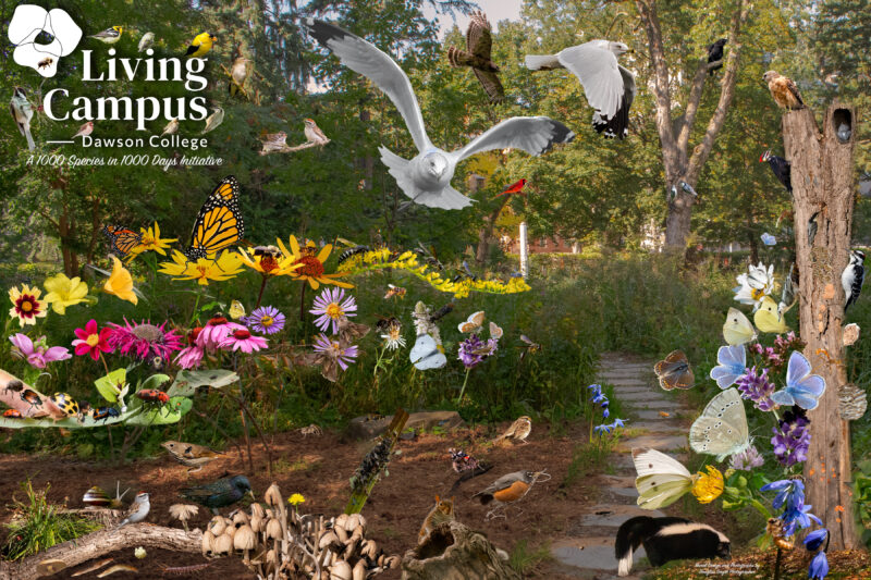 Doug's Mural - 1000 species V5