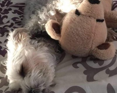 Gianna- Brady and teddy bear