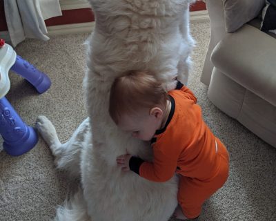 Ildiko's niece and her dog