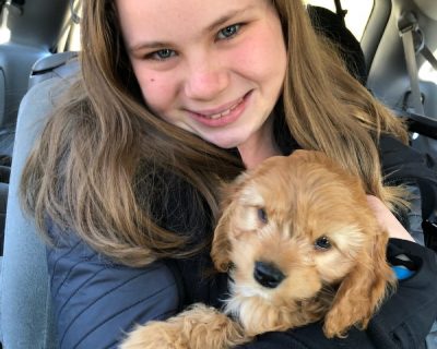 Janet Pakulis-granddaughter and puppy Marley