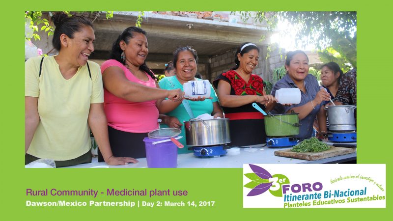 Group of rural women teaching traditional medicine