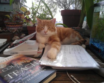 Read more about: Pets of Dawson Living Their Best Lives – Part 2