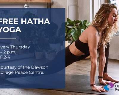 Free-Yoga-Peace-Centre