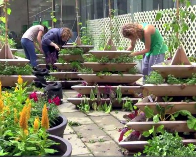 Seed Starter image